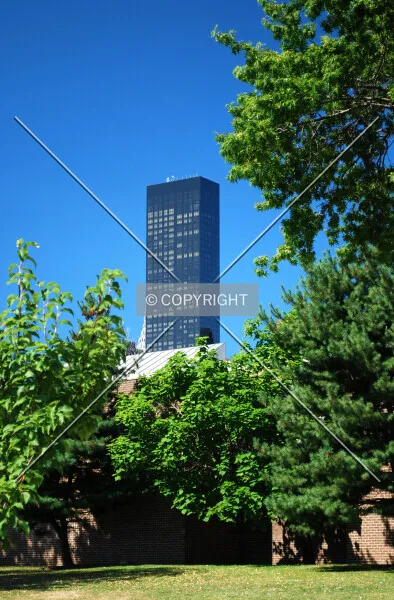 Photo 290-235-266