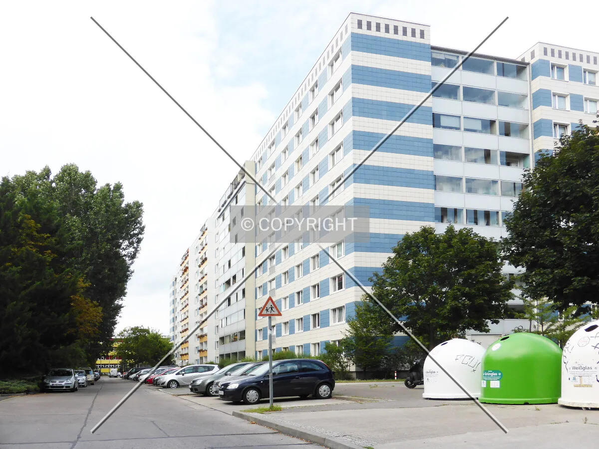 Photo 290-290-586