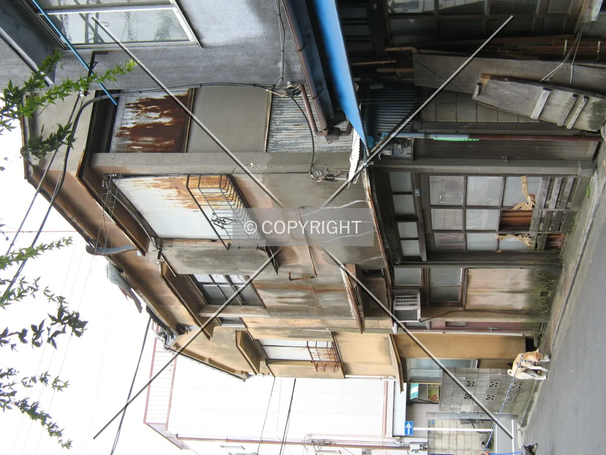 Photo 290-436-678