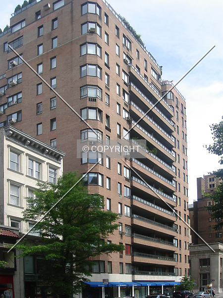 Photo 290-461-593
