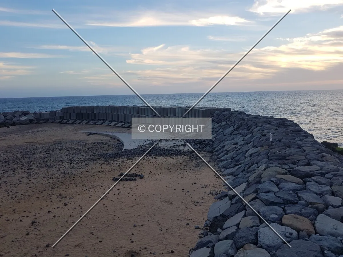 Photo 290-548-234