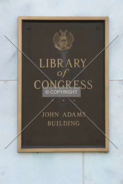 Photo 290-698-531