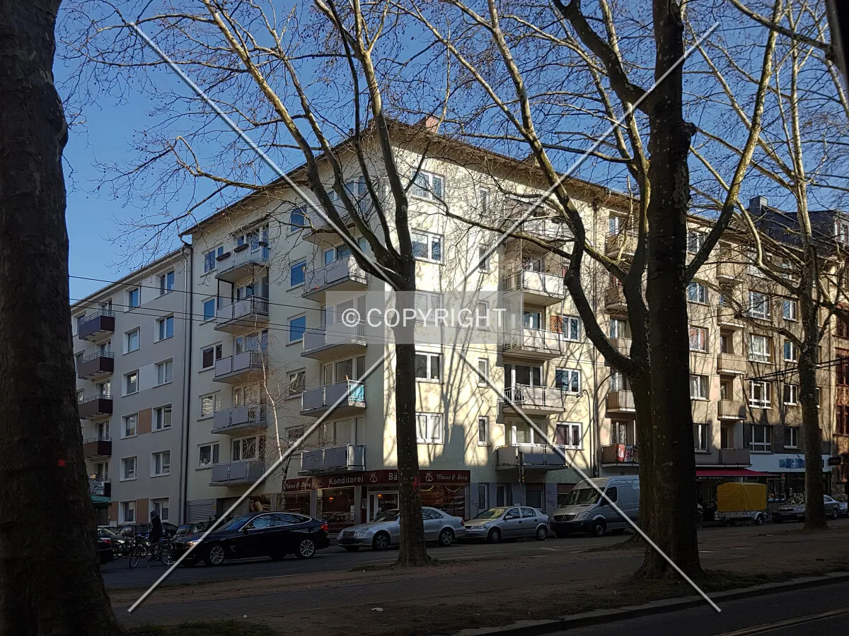 Photo 291-109-838