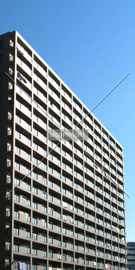 View from the northwest