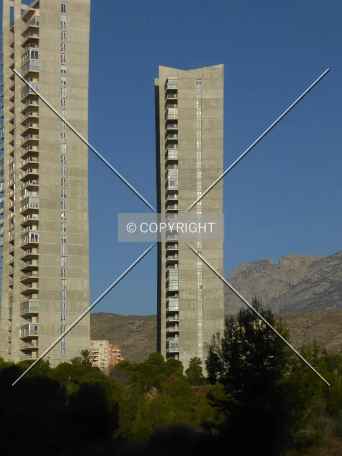 Photo 291-196-069