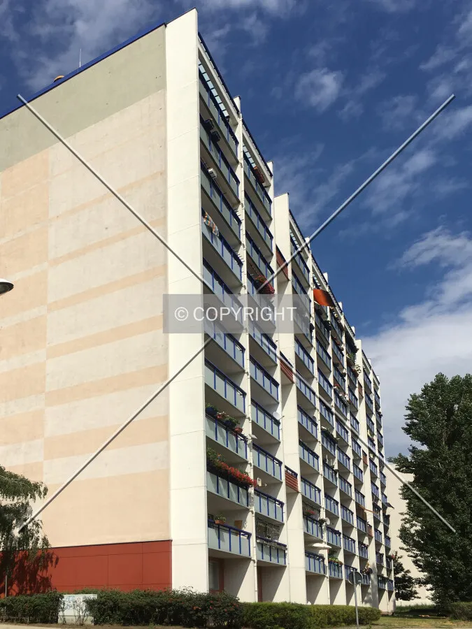 Photo 291-346-788