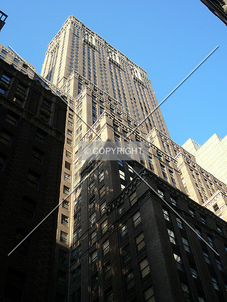 Photo 291-491-717