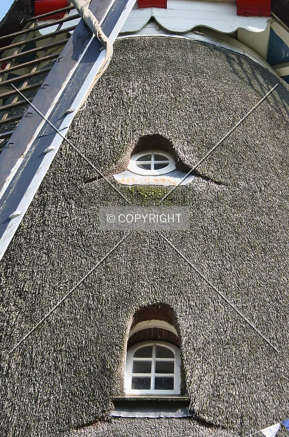 Windows in the roof