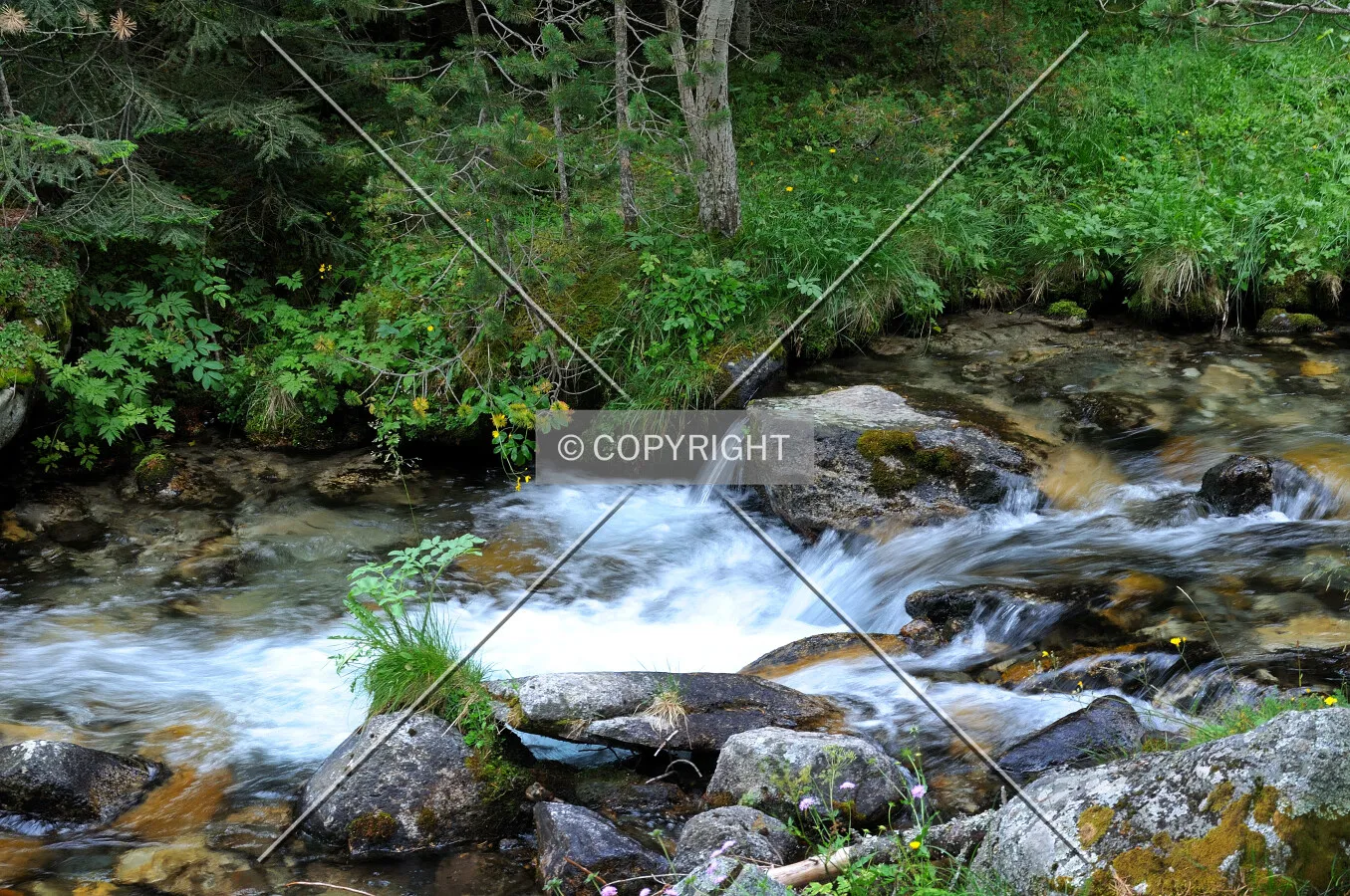 River in the Pyrenees