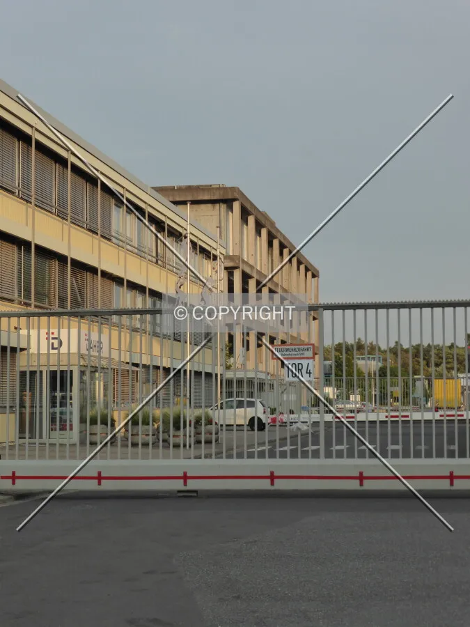Photo 292-230-267