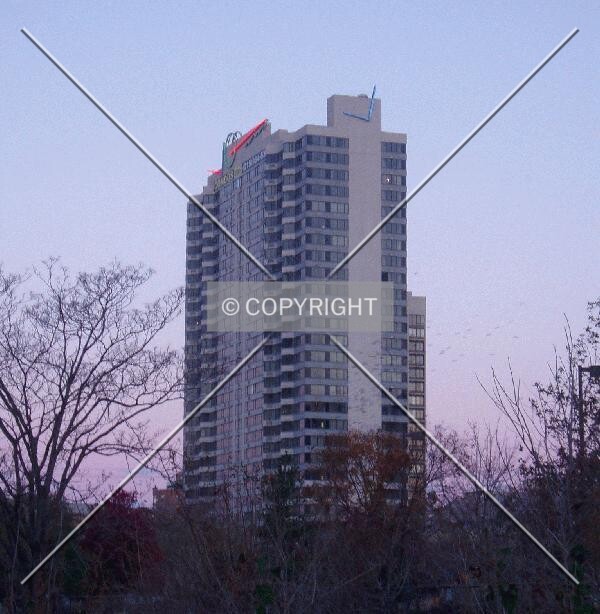 Photo 292-356-163
