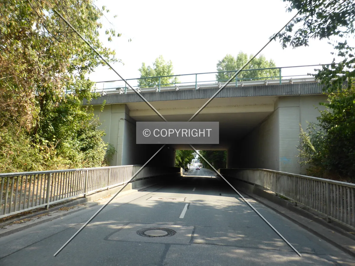 Photo 292-372-520