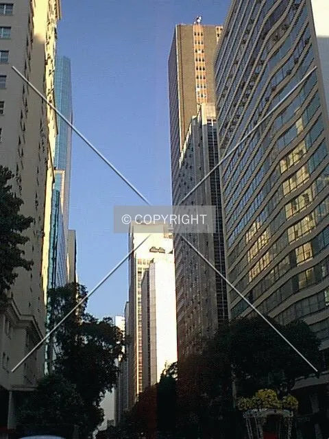 Avenida Rio Branco