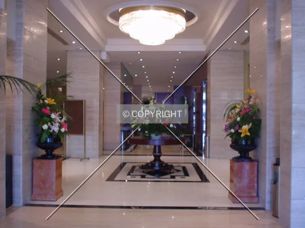 Lobby when entering the hotel