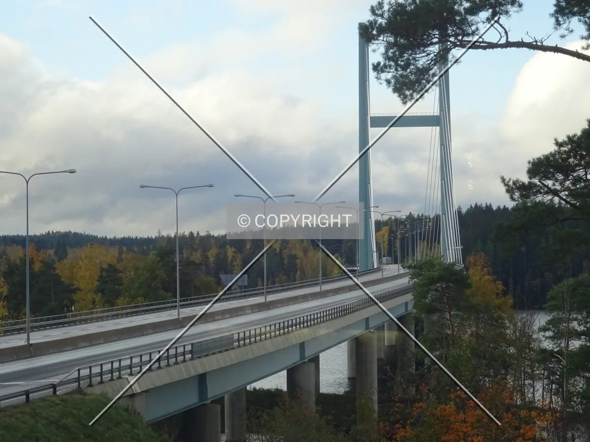 Photo 292-718-413