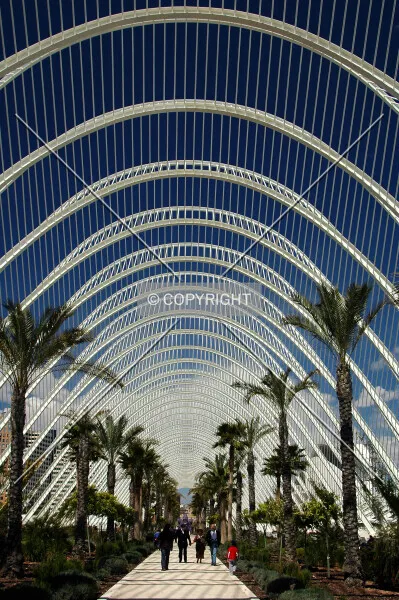 Photo 292-755-268