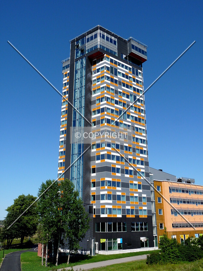 View from the east