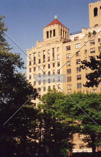 Photo 293-044-362