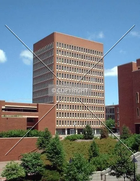 South facade