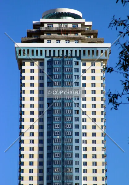 Photo 293-226-388