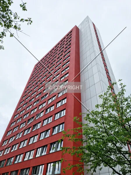 Photo 293-238-471