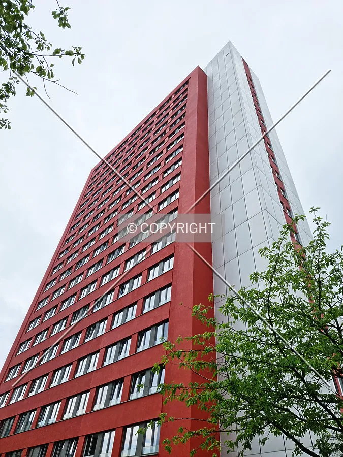 Photo 293-238-471
