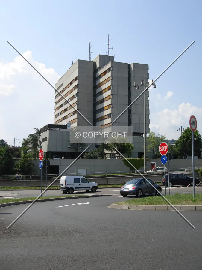 Photo 293-251-281