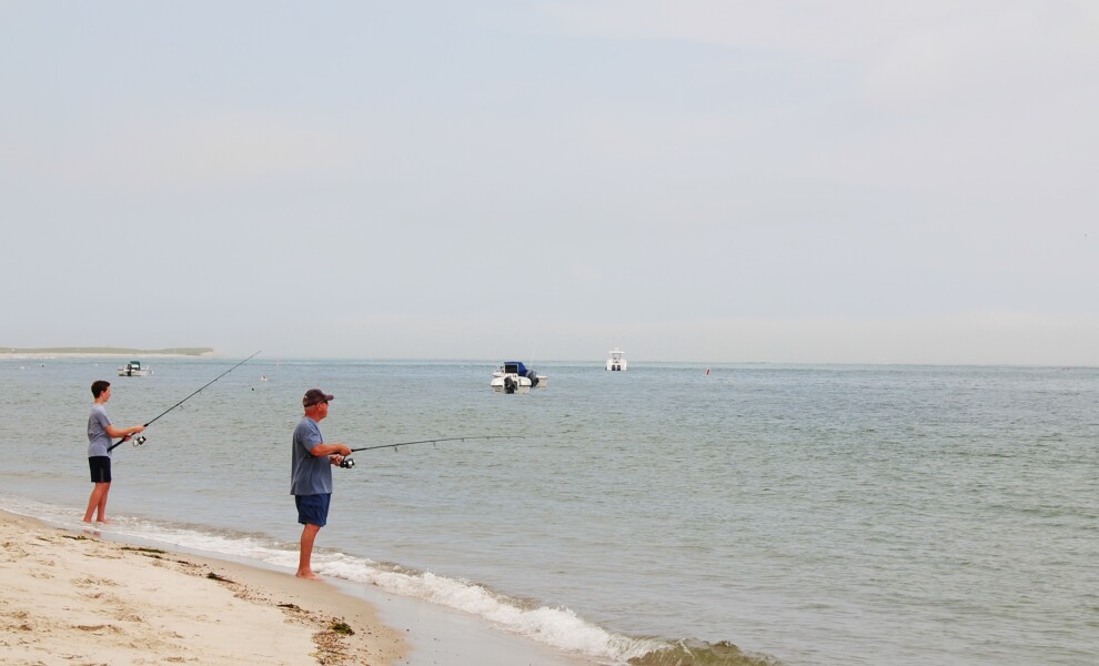 Photo 293-277-529