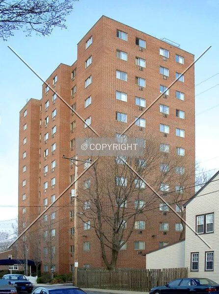 Photo 293-443-394