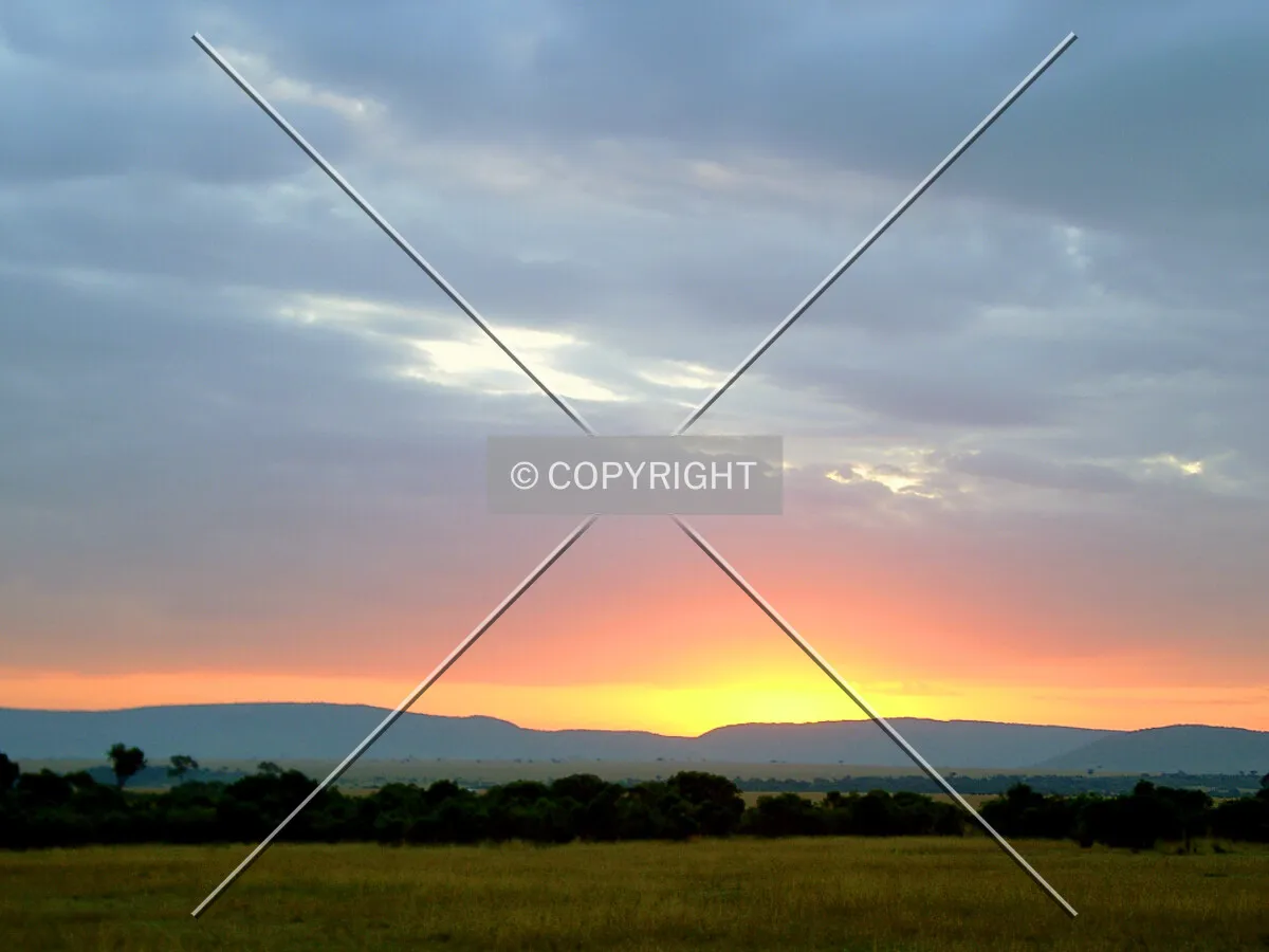 Sunrise in the savannah