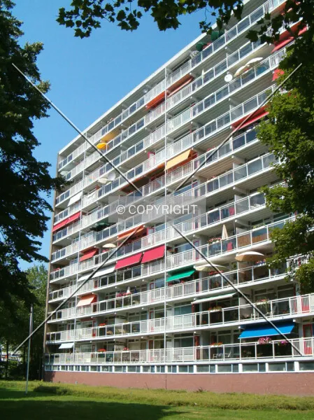 Photo 293-907-708
