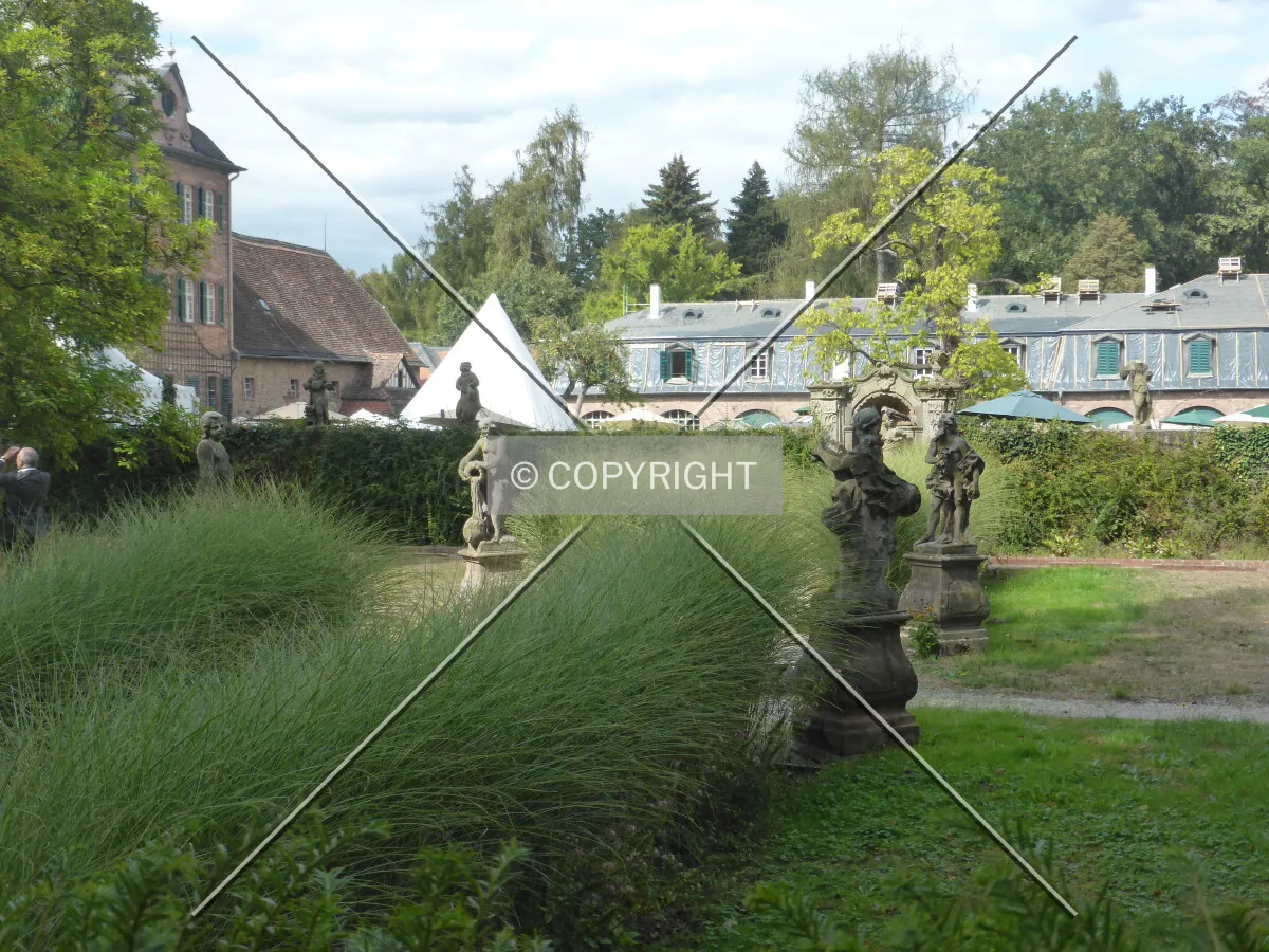 Photo 294-030-958
