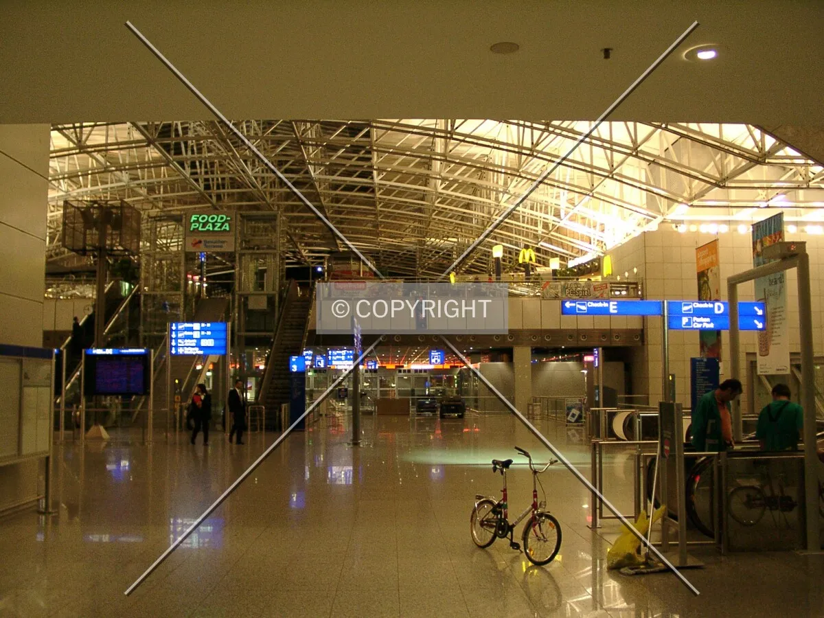 Photo 294-150-370