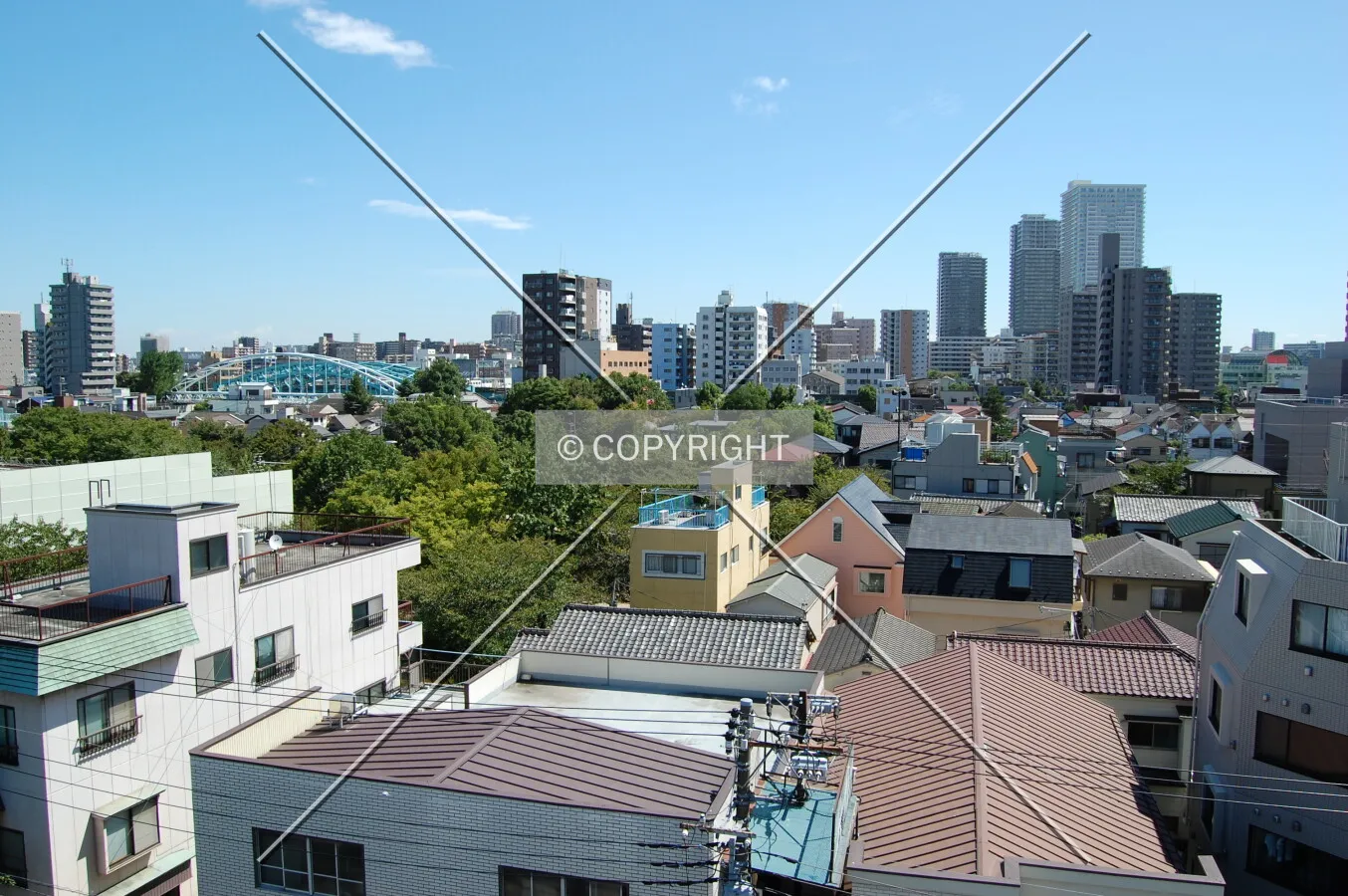 Photo 294-165-257