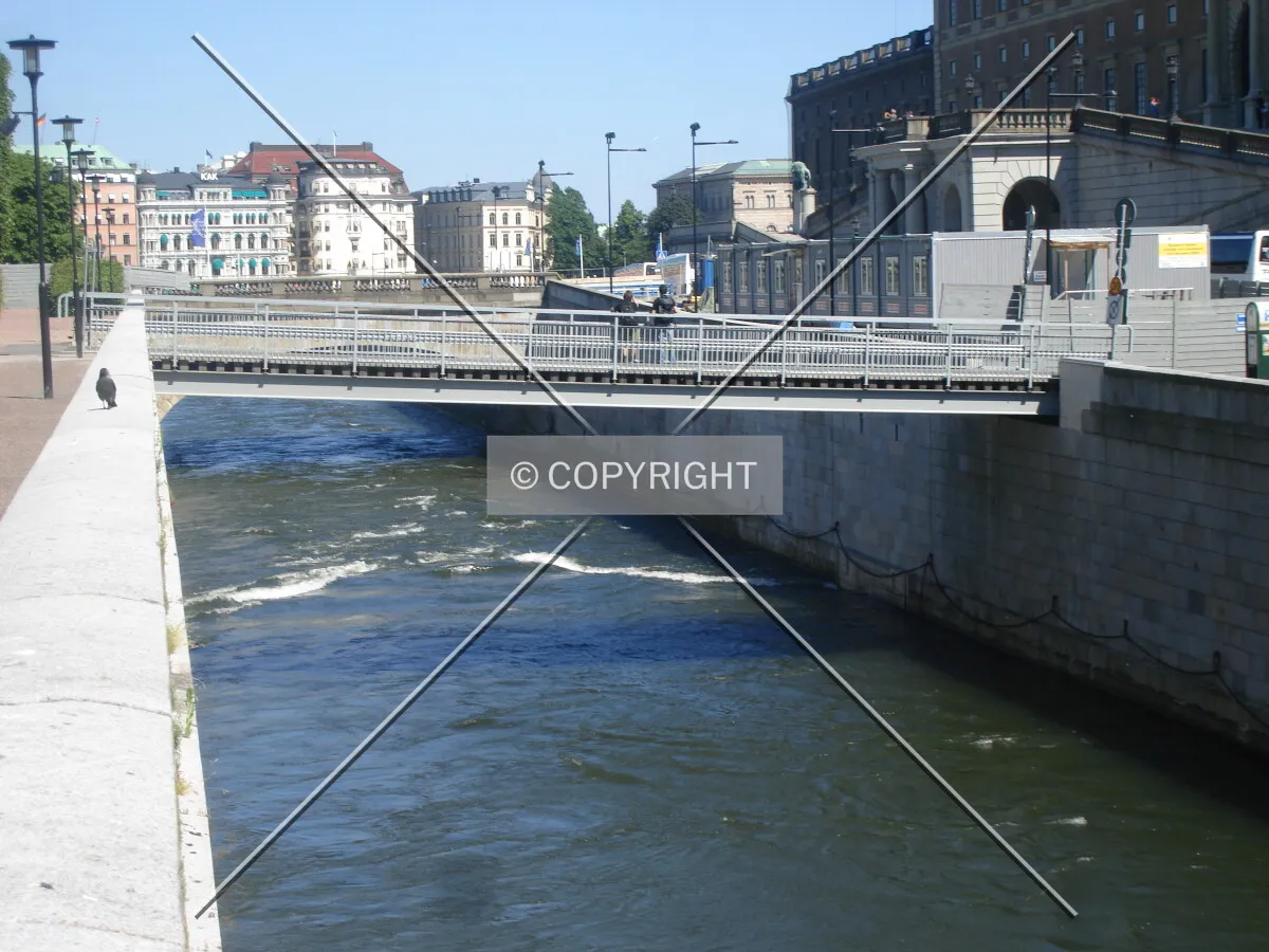 Photo 294-218-475