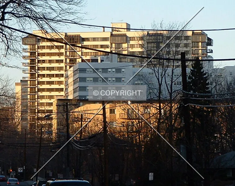 Photo 294-236-858