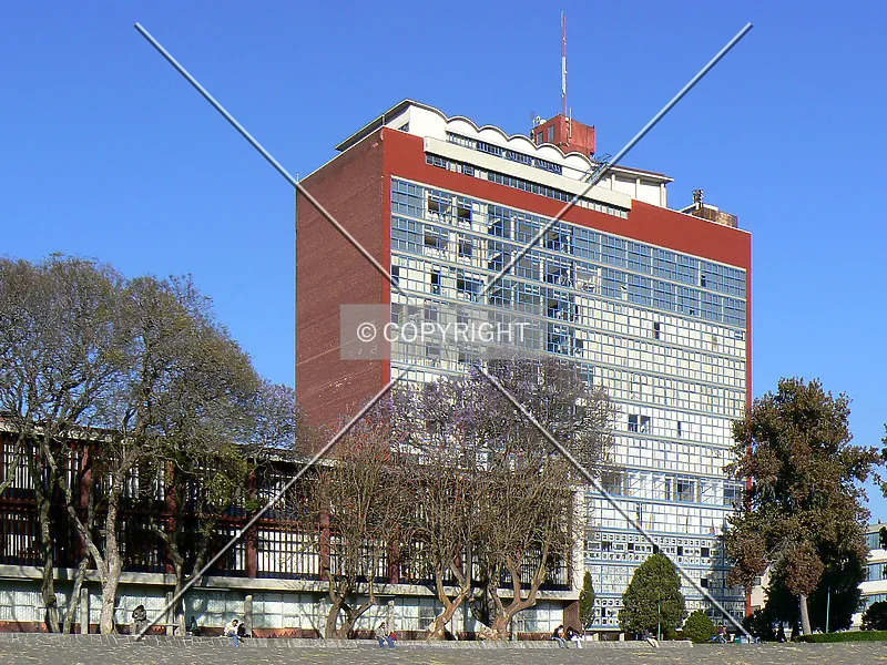 Photo 294-266-616