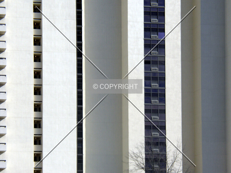 Photo 294-275-858