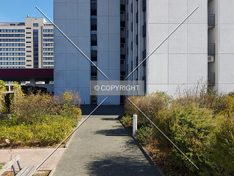 Photo 294-298-218