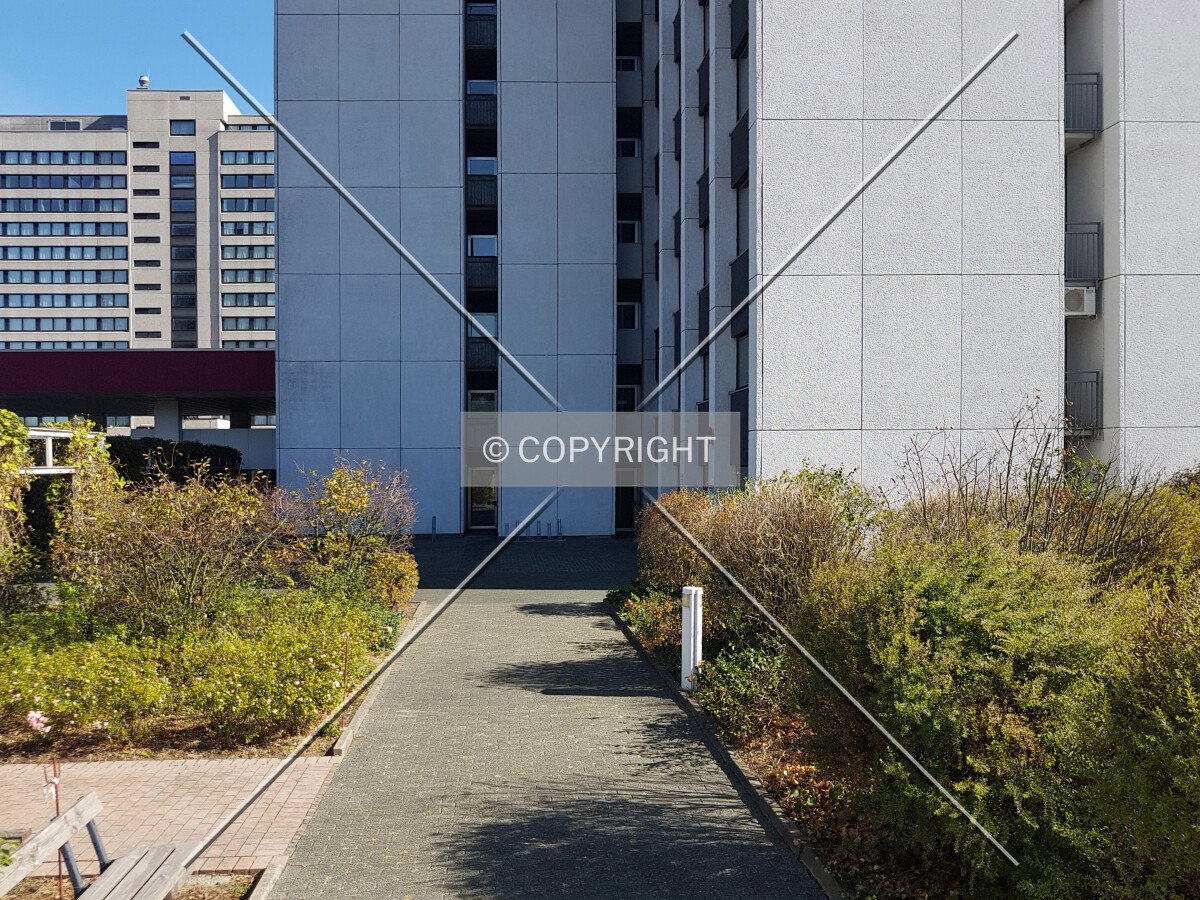 Photo 294-298-218