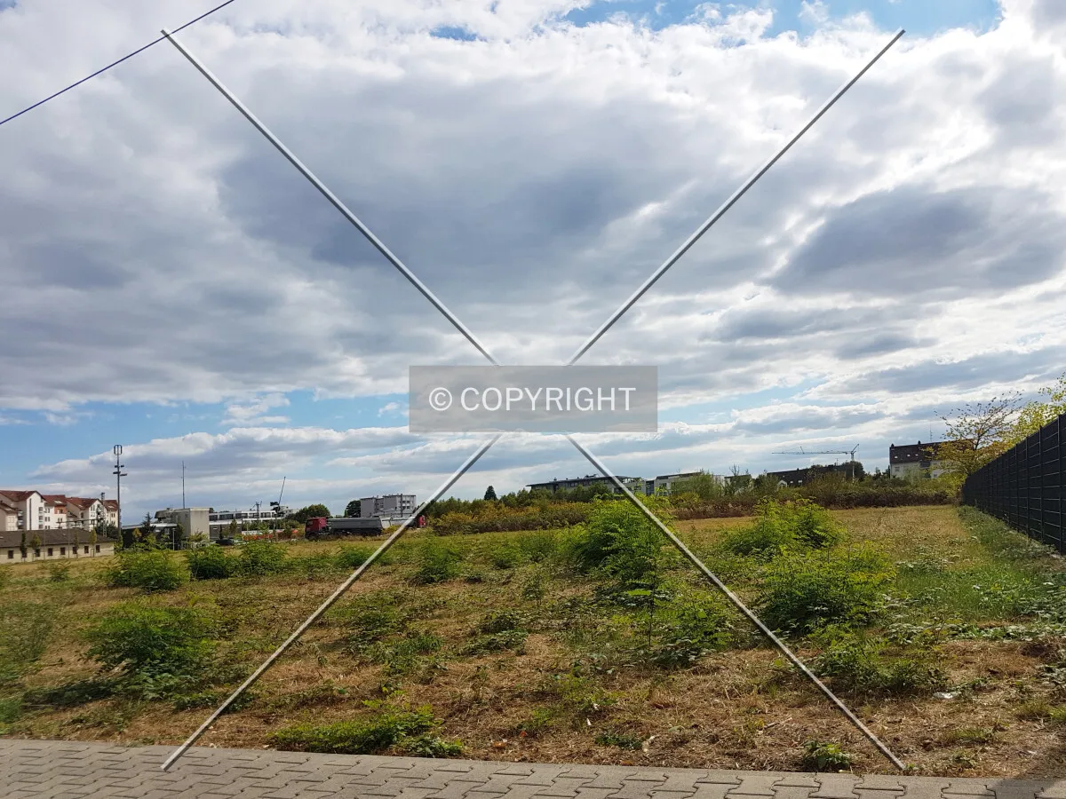 Photo 294-353-158