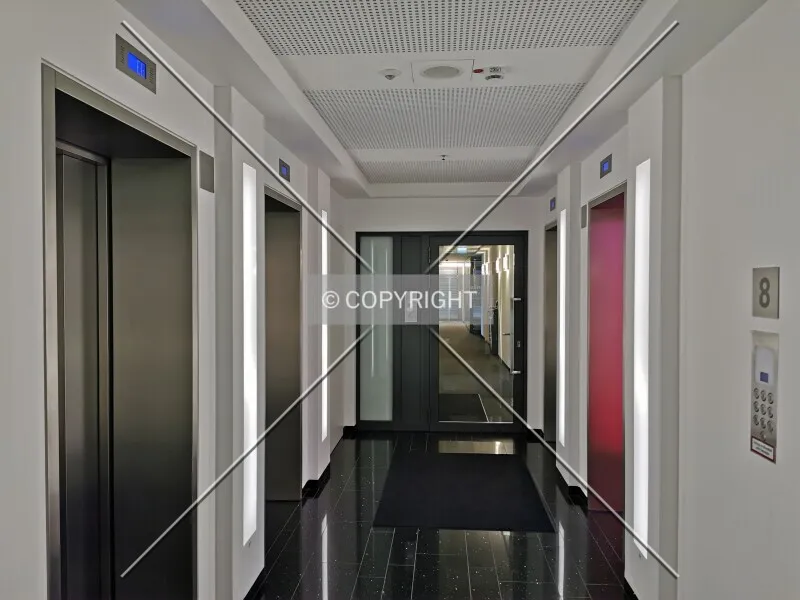 Photo 294-503-395