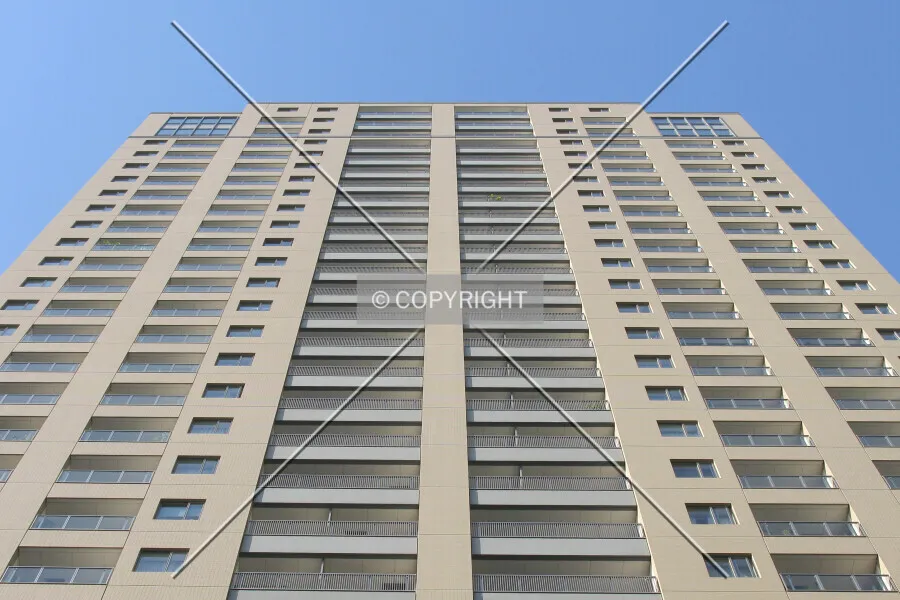 Photo 294-504-754