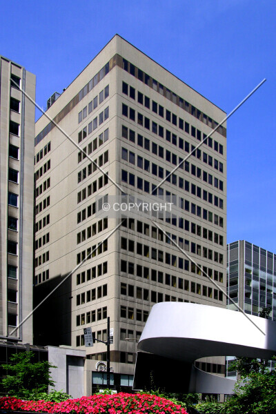 Photo 294-664-001
