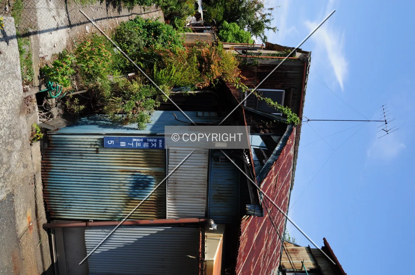 Photo 294-695-151