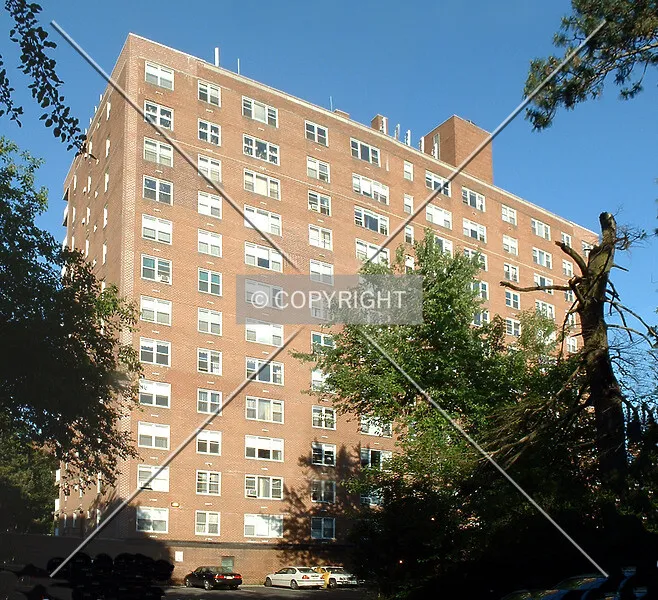Photo 294-782-758