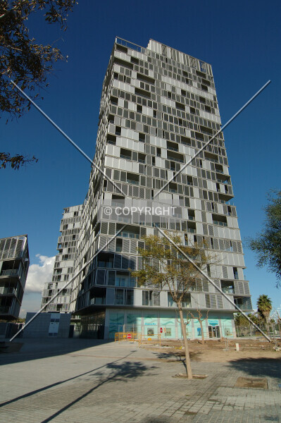 Photo 294-798-774
