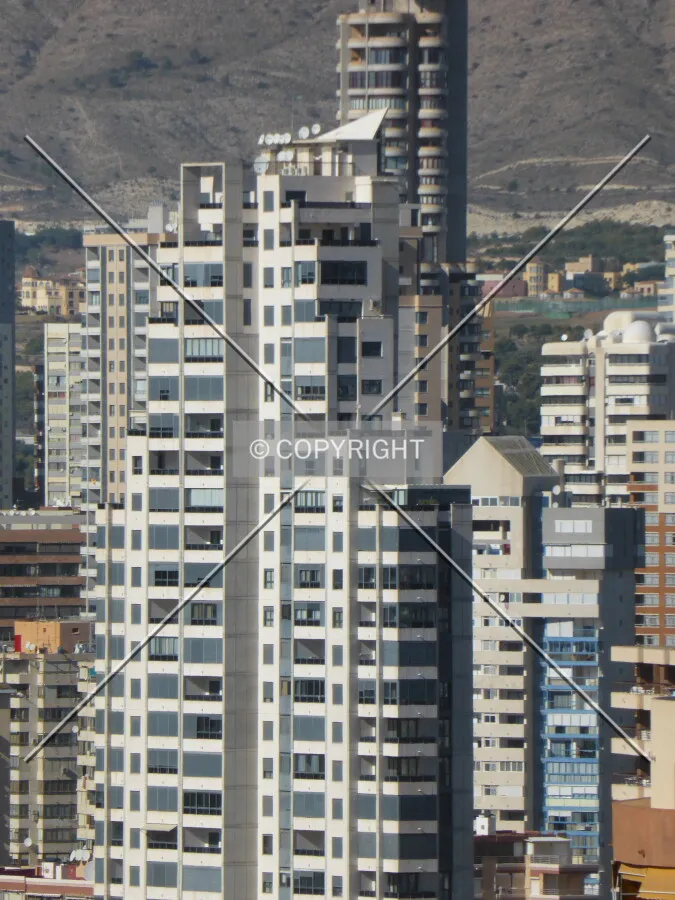 Photo 294-923-586