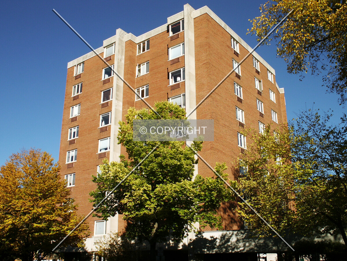 View from the southwest