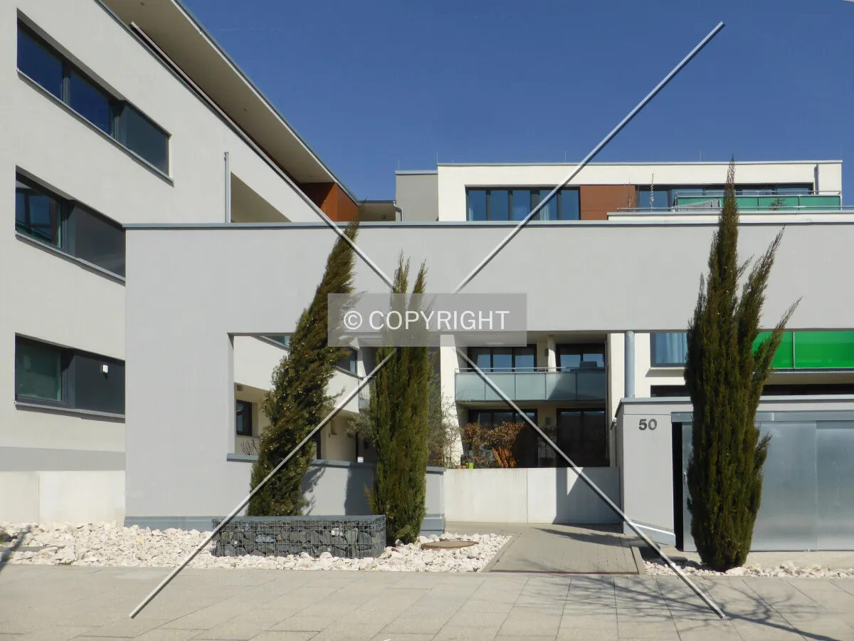 Photo 295-113-583